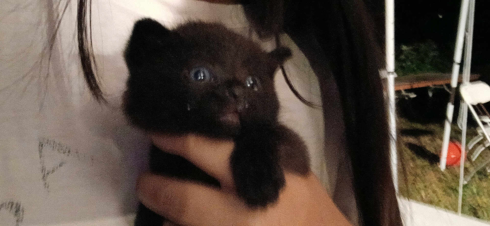 José