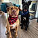 Whiskey And Zero