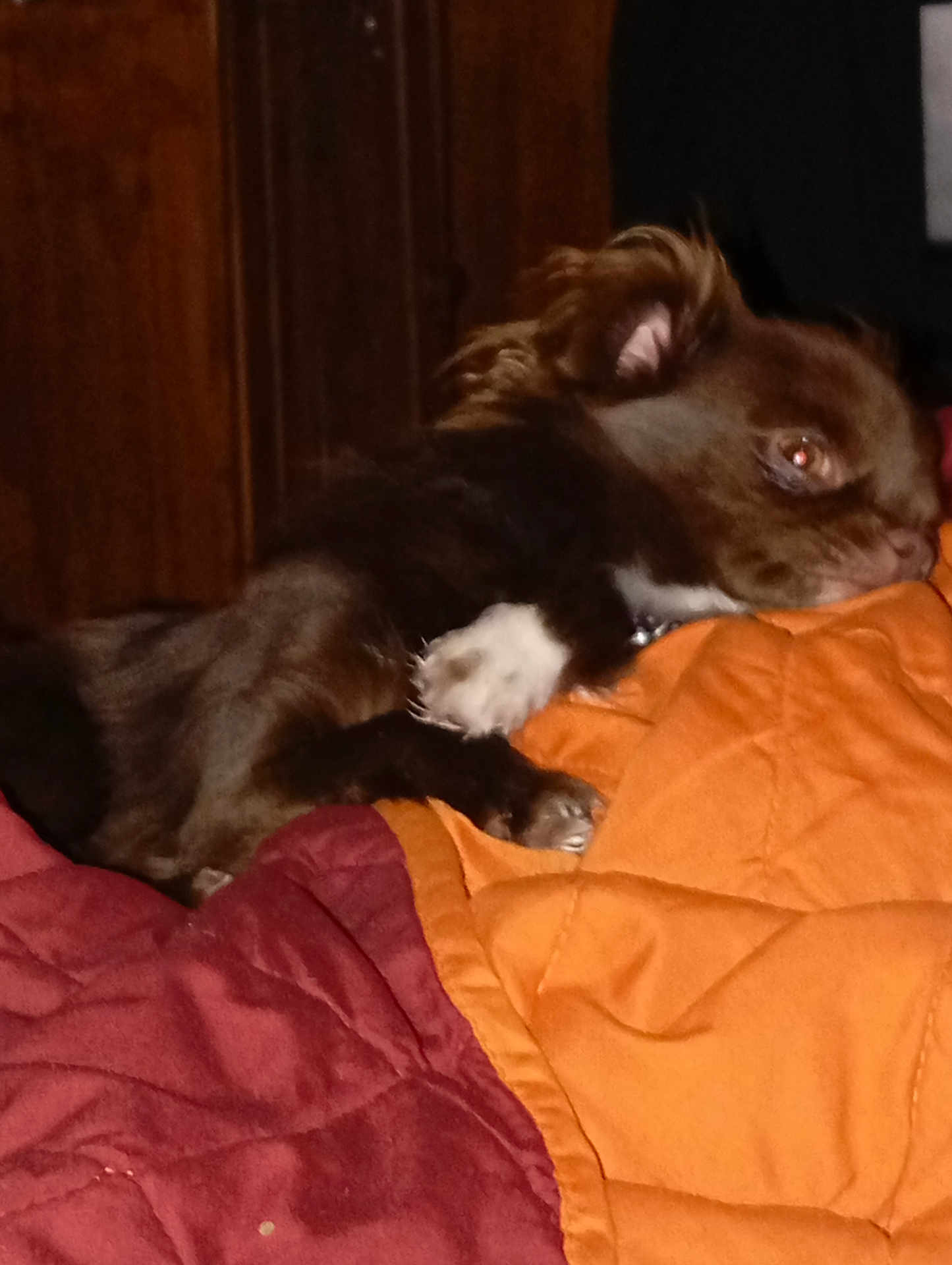 Jakson