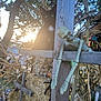 black_cat, kitten, wooden_post, plastic_skeleton, sunset, hay_bale, corn_stalks, outdoor, nature, decoration, spooky, halloween, animal, pet, feline, sunlight, shadow, rural, festive, playful