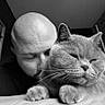 Vibes participe au concours pour gagner de l'argent avec cette photo : black_and_white, cat, man, bald, face, feline, pet, indoor, close_up, affection, cozy, whiskers, paws, gentle, relaxed, portrait, companion, love, domestic_animal, intimacy