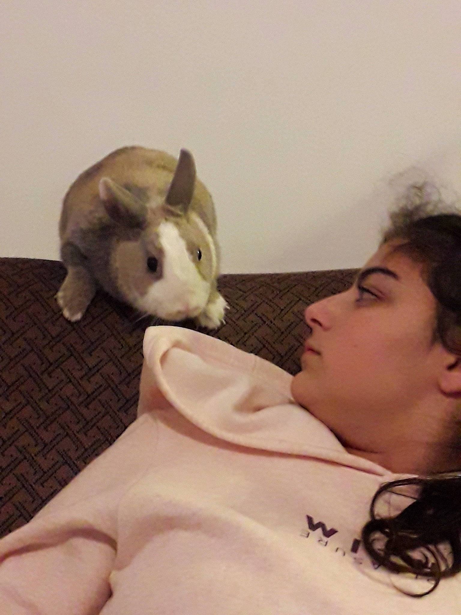 Cookie a rejoint le concours — aidez-le/la à gagner de superbes lots ! ear, mammal, person, rat