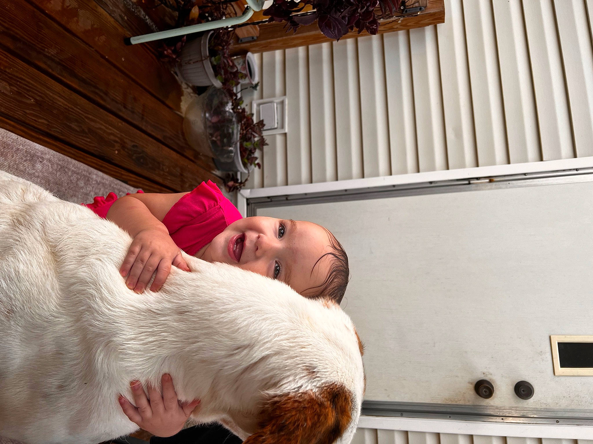 Hadley is registered to the contest to win money with this photo: comfort, eyelash, fun, fur, happy, house, landscape, leisure, linens, livestock, person, room, tradition, vacation, wood