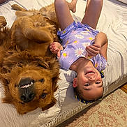 Champ joined the competition — help win amazing prizes! child, dog, golden_retriever, bed, smiling, upside_down, purple_dress, indoor, carpet, pillow, blanket, happy, pet, playful, cute, cozy, human, fur, room, relaxed