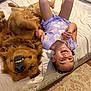 child, dog, golden_retriever, bed, smiling, upside_down, purple_dress, indoor, carpet, pillow, blanket, happy, pet, playful, cute, cozy, human, fur, room, relaxed