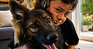 B-Max participe au concours pour gagner de l'argent avec cette photo : animal, boy, carpet, child, couch, dog, family, german_shepherd, happy, houseplant, hugging, indoor, living_room, pet, portrait, smiling, sunlight, tongue, window, wooden_interior