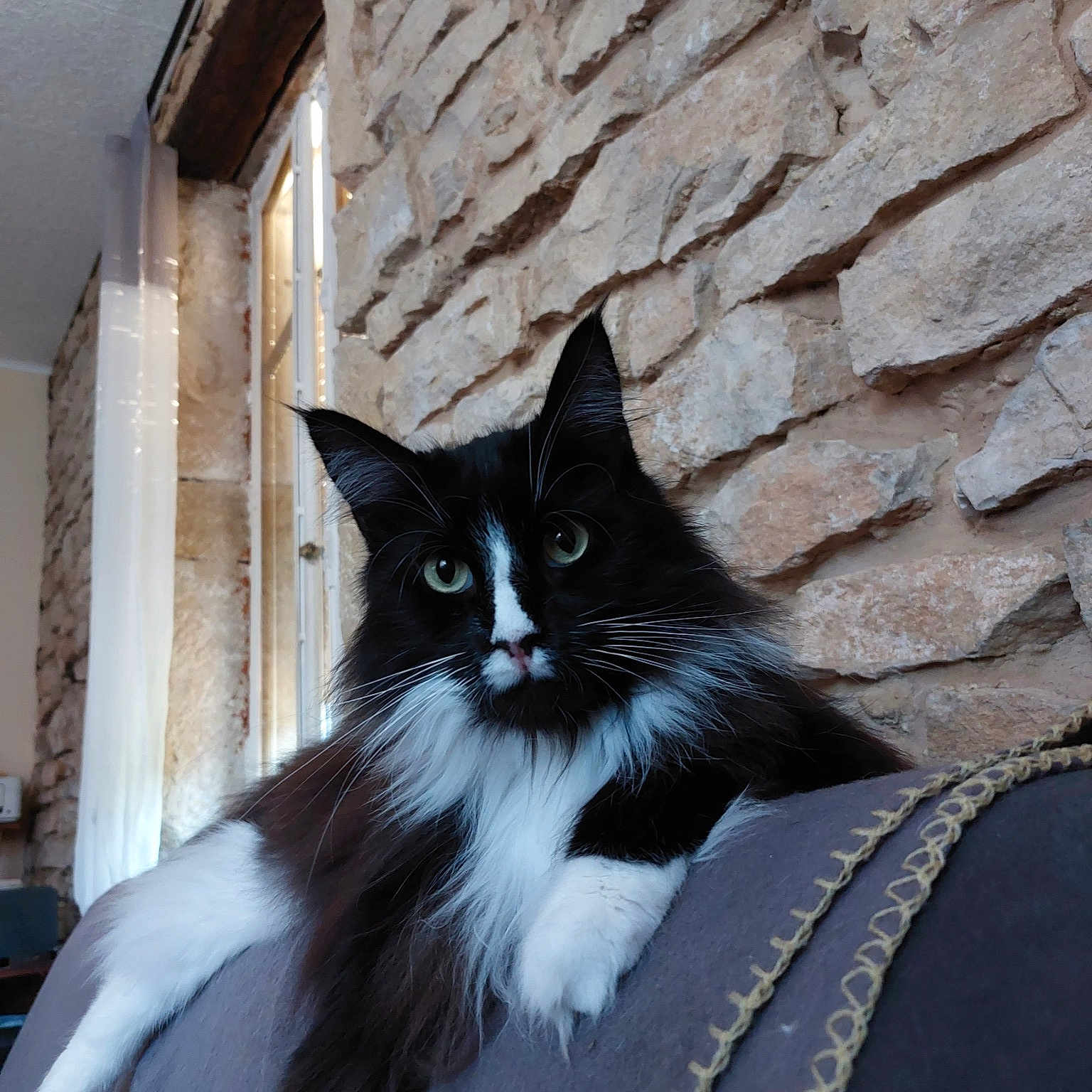 Rosali
