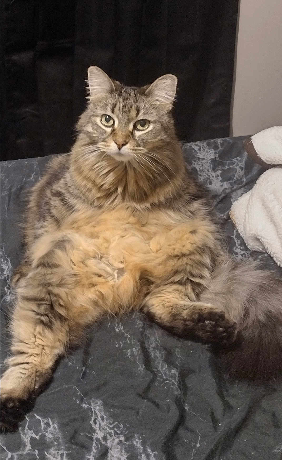 Bella