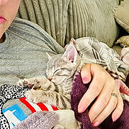 Luna Sky joined the competition — help win amazing prizes! kitten, cat, sleeping, person, glasses, hand, blanket, couch, cozy, nap, pet, indoor, comfort, furniture, clothing, tattoo, pink_nail_polish, striped_shirt, closeup, relaxation