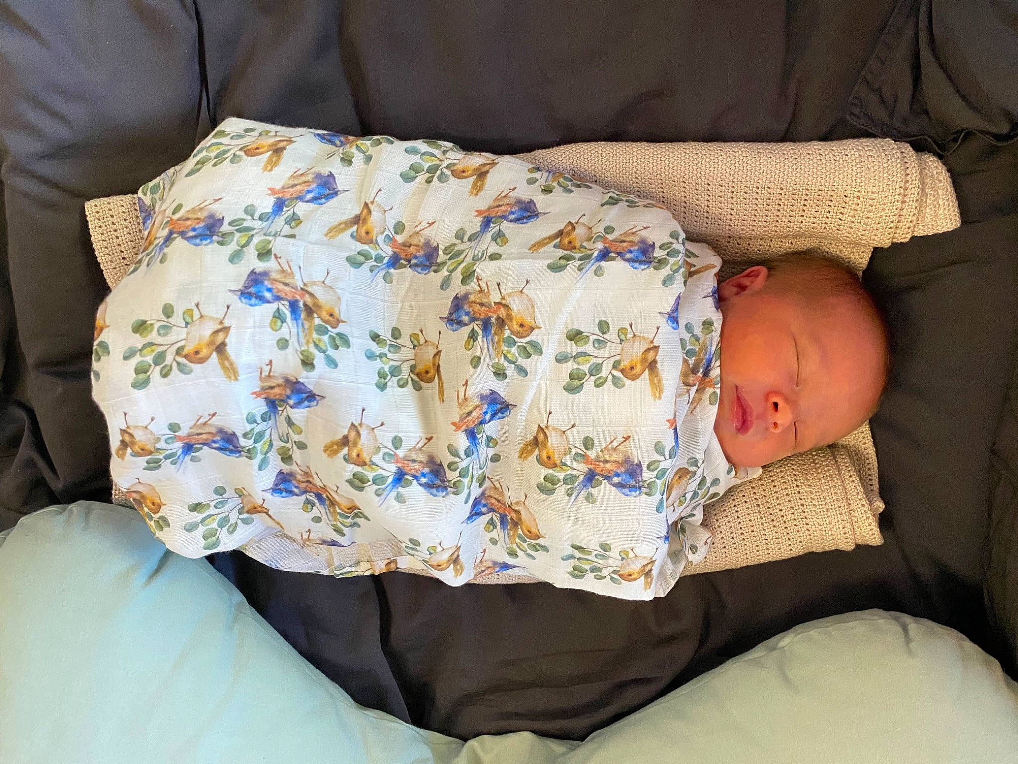 Morgan joined the competition — help win amazing prizes! arm, baby, baby_products, baby_sleeping, baby_toddler_clothing, bedtime, child, comfort, finger, hand, human_body, linens, mammal, pattern, person, room, sitting, sleeve, textile, thigh