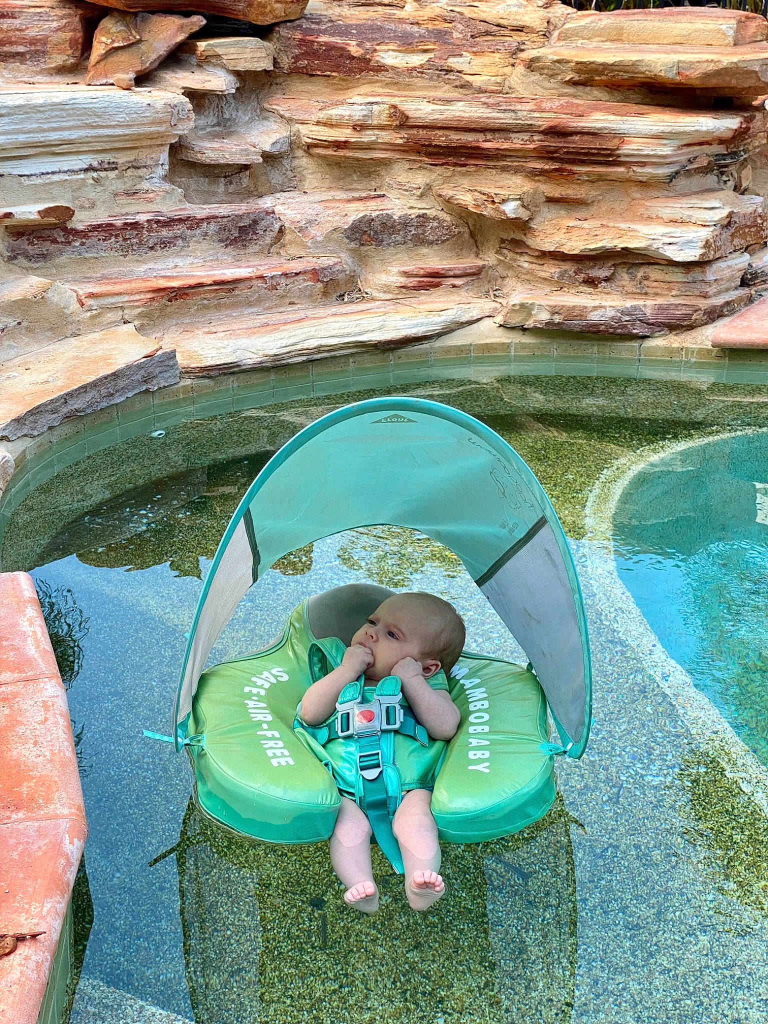 Morgan is registered to the contest to win money with this photo: baby, child, circle, fun, garden, grass, landscape, leisure, person, play, recreation, reflection, rock, shorts, sitting, sun_hat, sunglasses, toddler, tourism, vacation