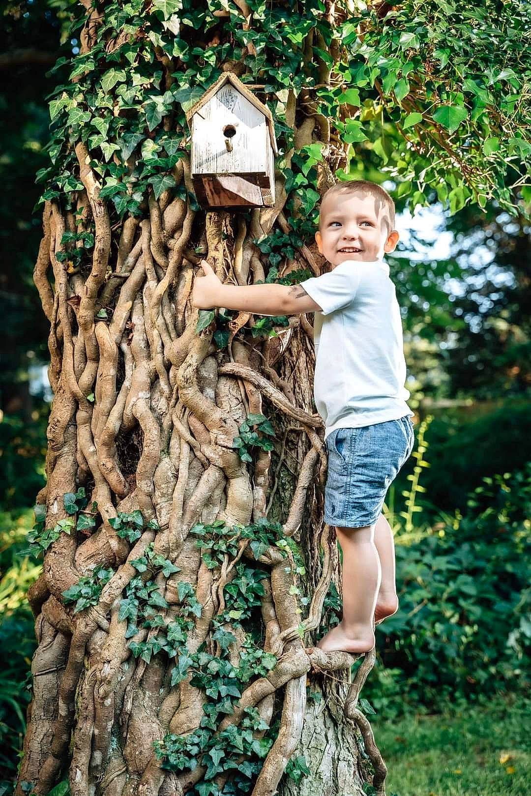 Chris joined the competition — help win amazing prizes! botany, fun, garden, grass, happy, joy, jungle, leaf, leisure, natural_environment, people_in_nature, person, plant, shorts, spring, t_shirt, toddler, toy, tree, trunk