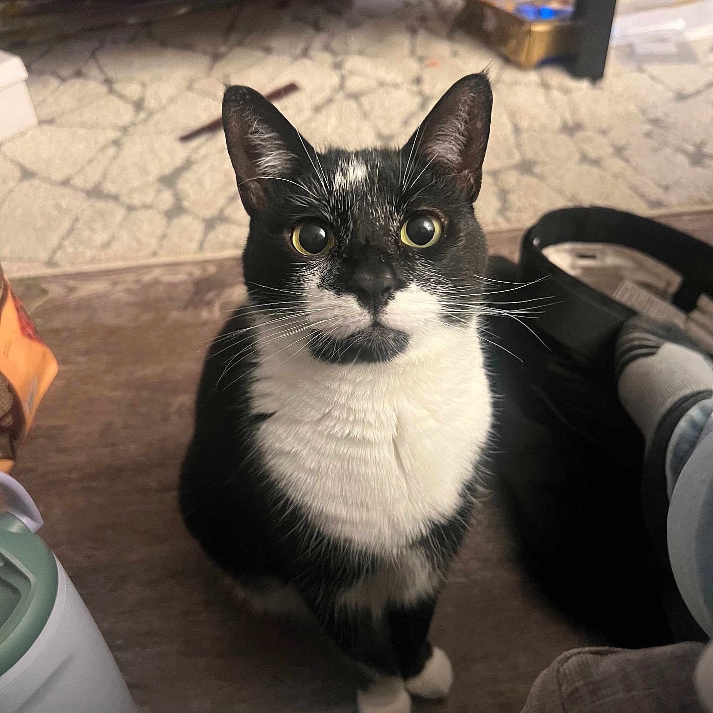 Oreo