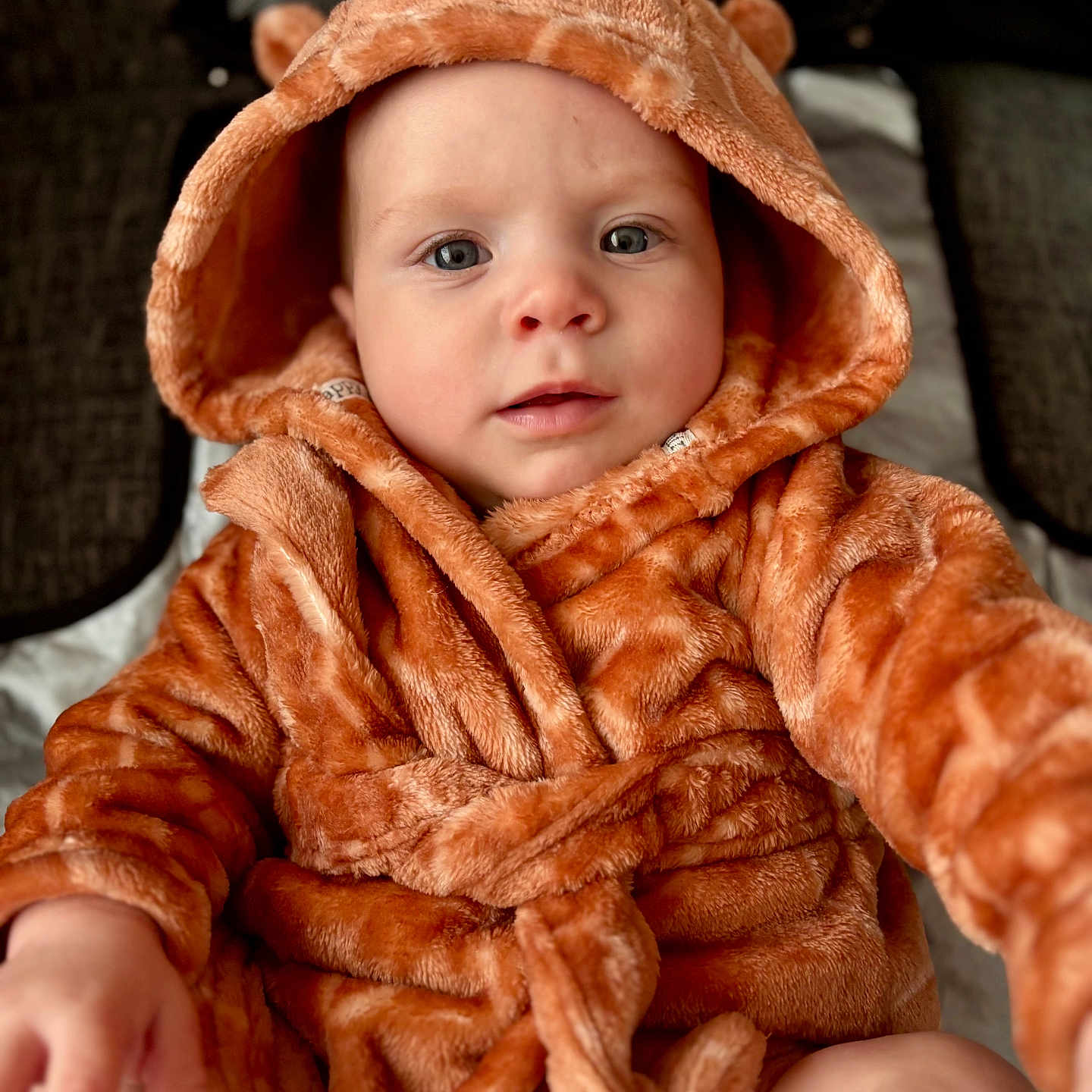 Axl is registered to the contest to win money with this photo: baby, child, clothing, comfort, cute, ears, eyes, face, fuzzy, hand, hood, indoor, infant, orange, portrait, robe, sitting, skin, soft, warm