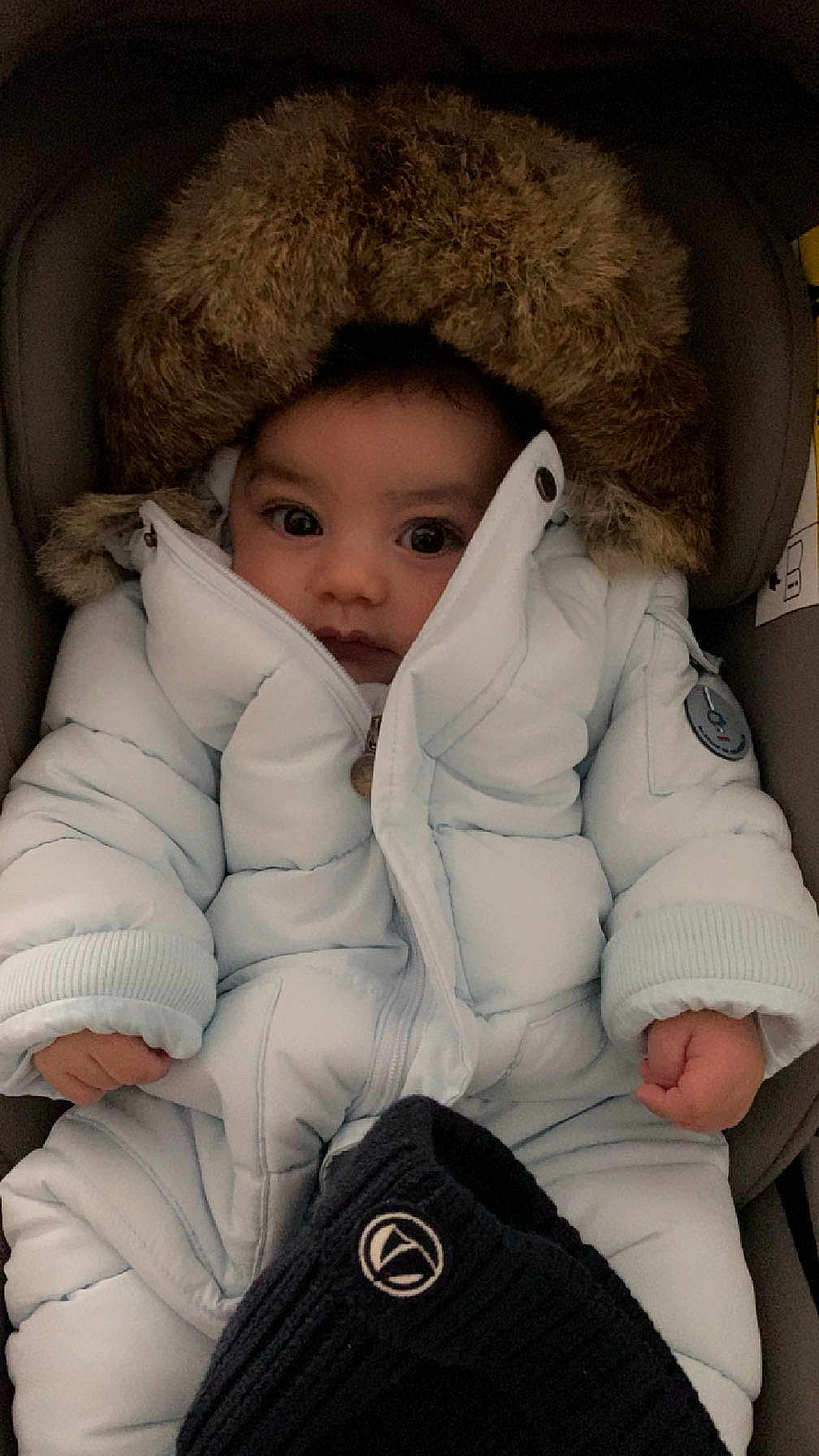 Noé participe au concours pour gagner de l'argent avec cette photo : baby, child, winter_coat, fur_hood, bundle, car_seat, clothing, cute, face, infant, jacket, looking, person, portrait, seat, small_hands, warm, winter, young, zipper