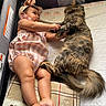 animal, baby, blanket, cat, child, cozy, curious, cute, furry, headband, indoor, infant, interaction, lying_down, paw, pet, playpen, romper, soft_lighting, warning_label