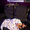 air_conditioner, animal, blanket, cat, child, couch, cozy, dark_room, furniture, home, indoor, pacifier, painting, peaceful, pet, quilted_cover, relaxation, resting, sleeping, window