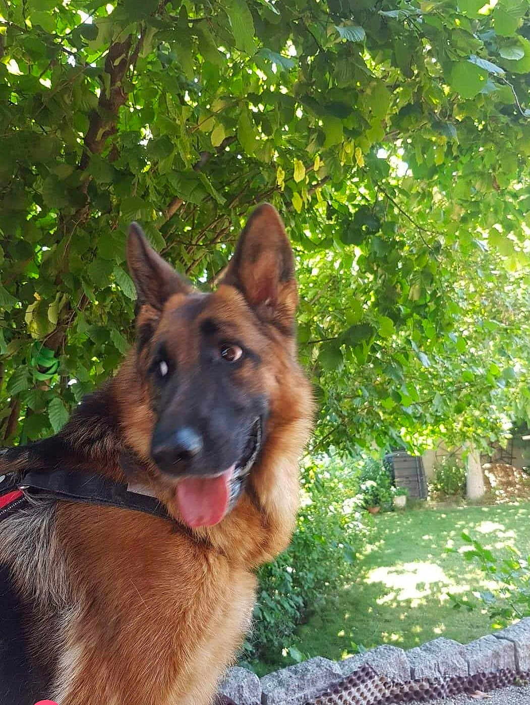 Nina