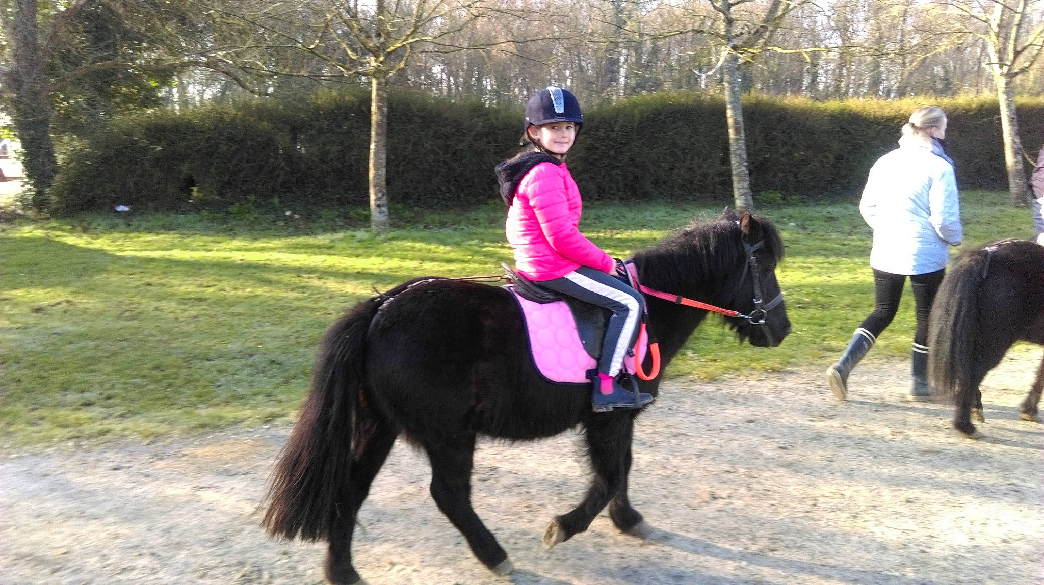 Aurore participe au concours pour gagner de l'argent avec cette photo : animal_sports, bridle, equestrian_sport, equestrianism, equitation, halter, headwear, horse, horse_supplies, horse_tack, joy, mammal, mane, mare, pack_animal, person, recreation, rein, riding_instructor, saddle