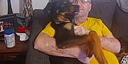 Bandit joined the competition — help win amazing prizes! accessories, adult, animal, architecture, building, canine, couch, dog, face, furniture, glasses, head, indoors, livingroom, person, pet, photography, portrait, puppy, room