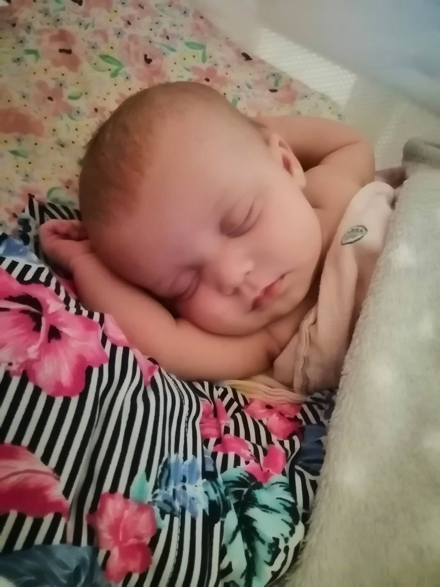 Shirley is registered to the contest to win money with this photo: baby, baby_sleeping, bedtime, cheek, child, eye, face, finger, head, lip, mouth, nap, nose, person, pink, skin, sleep, toddler