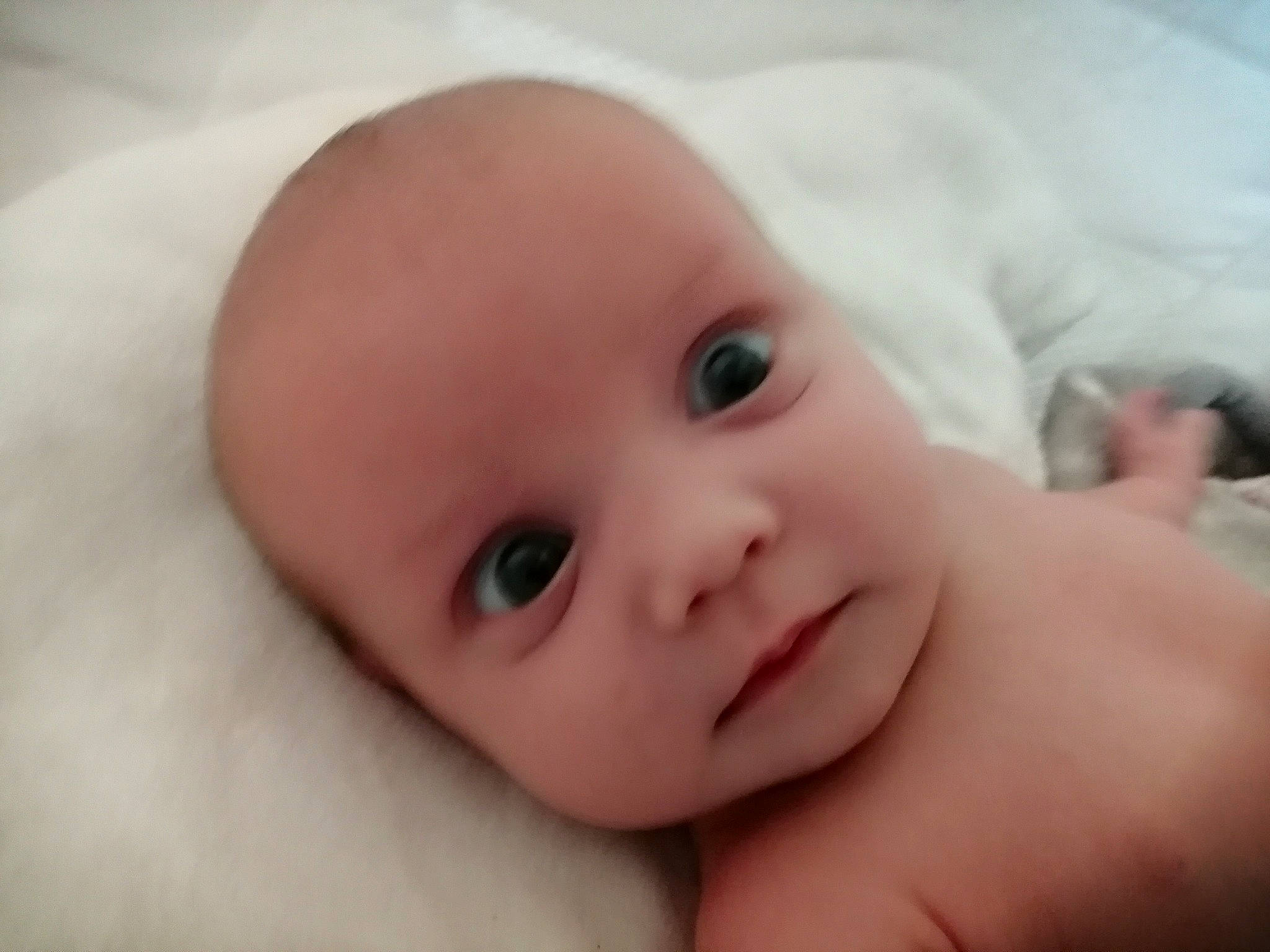 Shirley is registered to the contest to win money with this photo: baby, bedtime, cheek, child, chin, close_up, eye, eyebrow, face, forehead, hand, head, iris, lip, mouth, muscle, nose, person, photography, skin