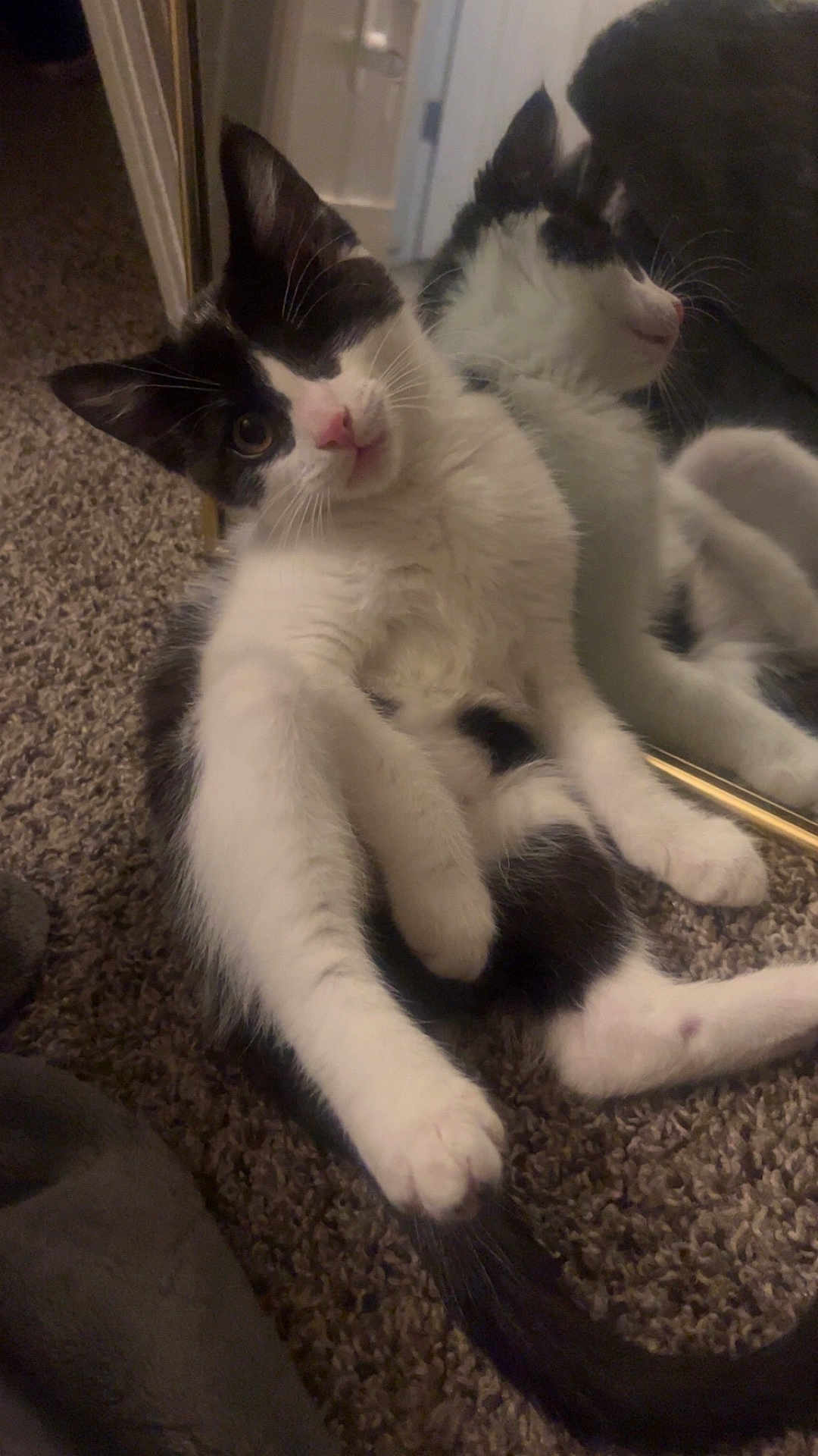 Lila