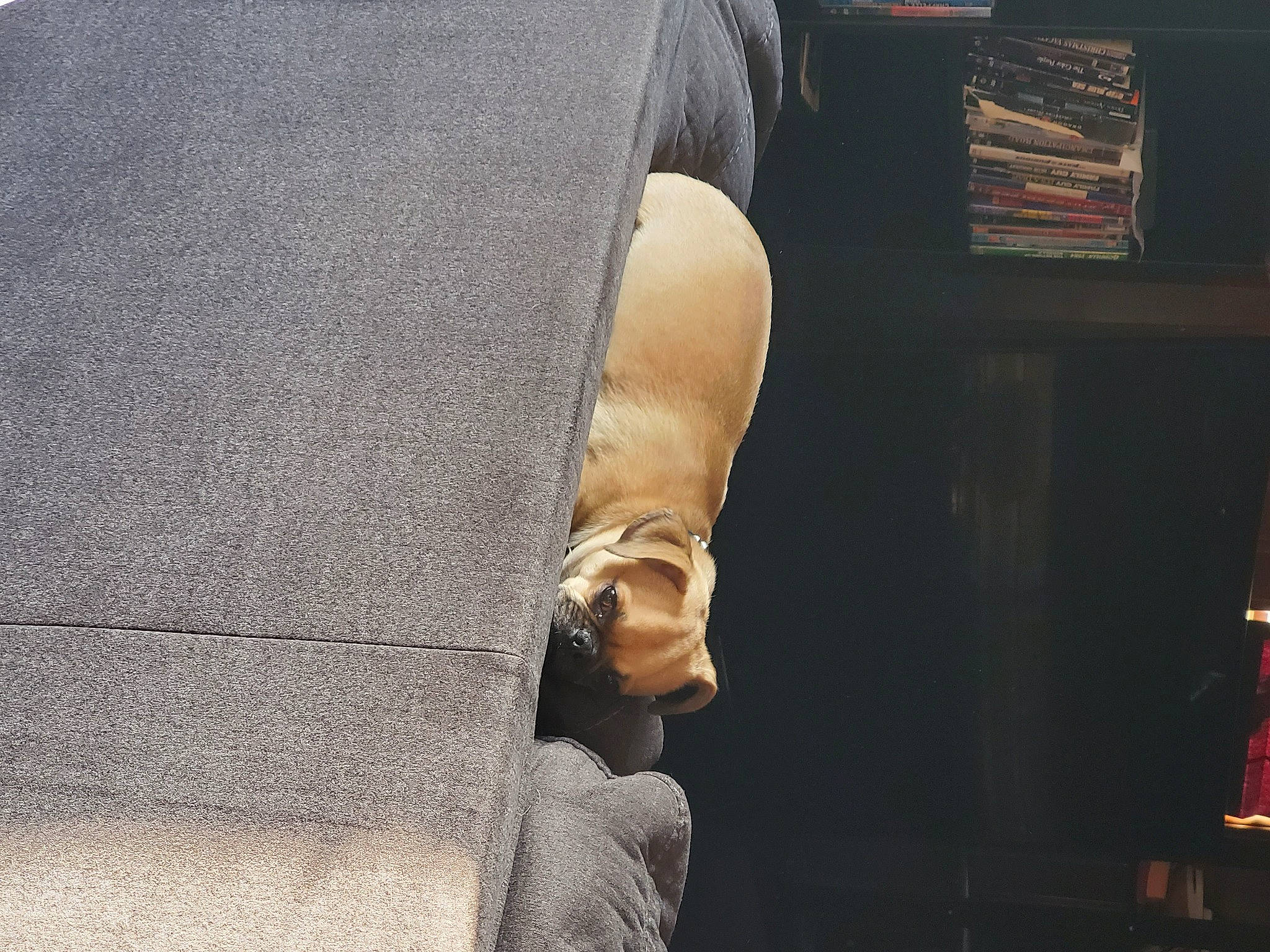 T'Challa is registered to the contest to win money with this photo: denim, fashion_accessory, flooring, foot, fur, gesture, glove, human_leg, knee, leather, metal, nail, sitting, sleeve, sportswear, street_fashion, thigh, thumb, wood, wrist