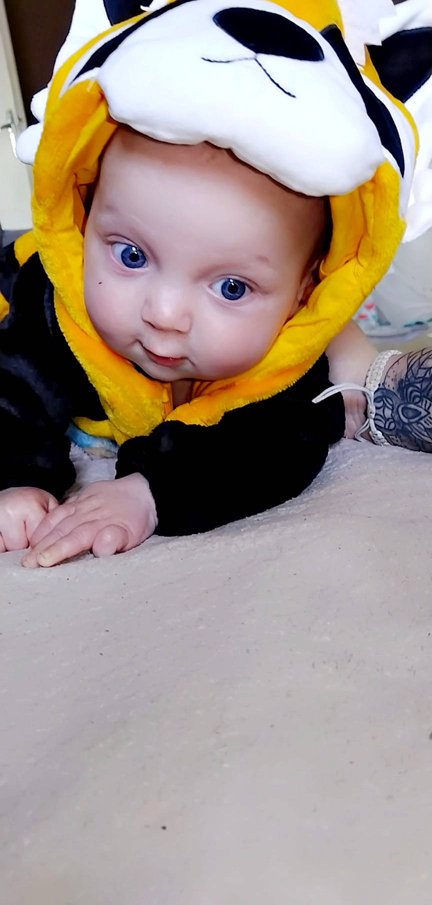 Thymeo participe au concours pour gagner de l'argent avec cette photo : baby, baby_toddler_clothing, cap, cheek, child, chin, electric_blue, eye, eyebrow, face, fashion_accessory, finger, fun, happy, headgear, iris, jacket, nose, person, sleeve