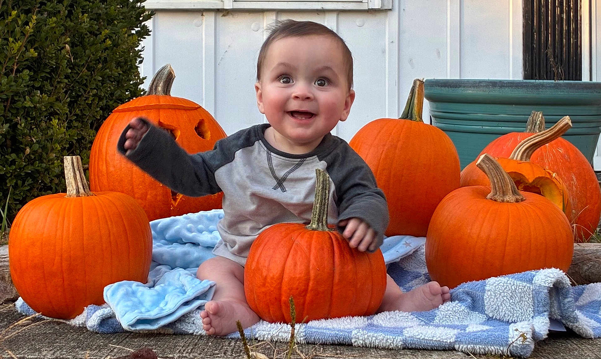Zachary is registered to the contest to win money with this photo: baby, pumpkin, jack_o_lantern, blanket, outdoor, smiling, happy, fall, autumn, holiday, cute, child, nature, plant, orange, feet, grass, face, clothing, sitting