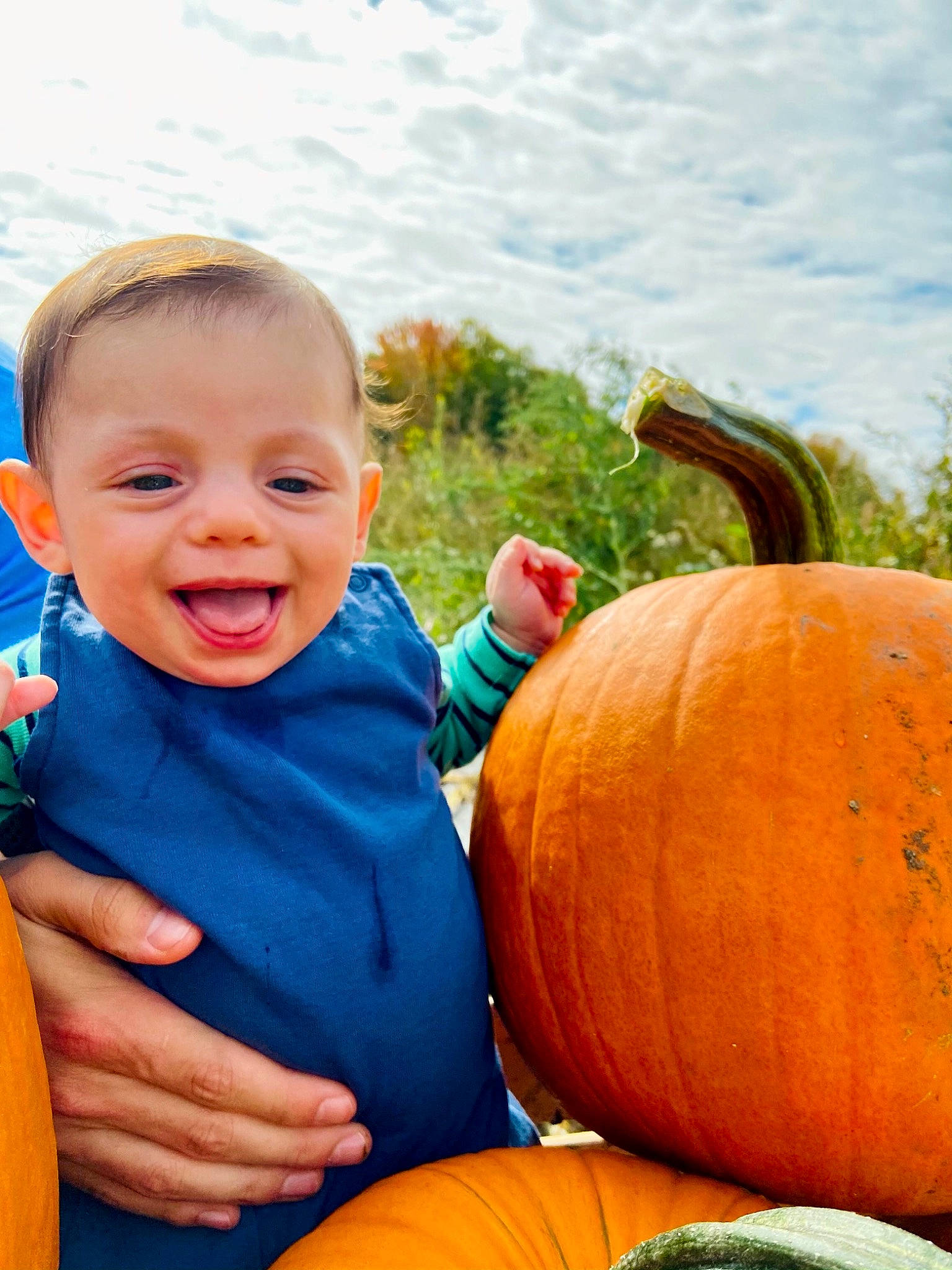 Caspian is registered to the contest to win money with this photo: baby_toddler_clothing, blue, calabaza, cloud, cucurbita, food, gourd, grass, green, happy, natural_foods, orange, people, people_in_nature, person, plant, pumpkin, sky, smile, squash