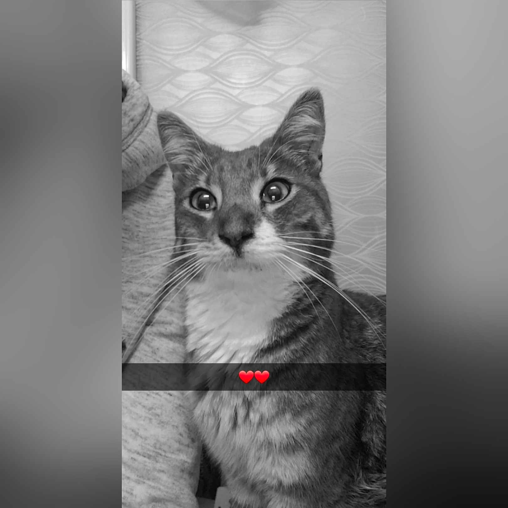 Paolo