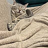 blanket, cabinet, cat, comfort, cozy, cushion, fur, furniture, gray_cat, home, indoor, nap, paws, pet, relaxed, resting, sleeping, soft, tabby, whiskers