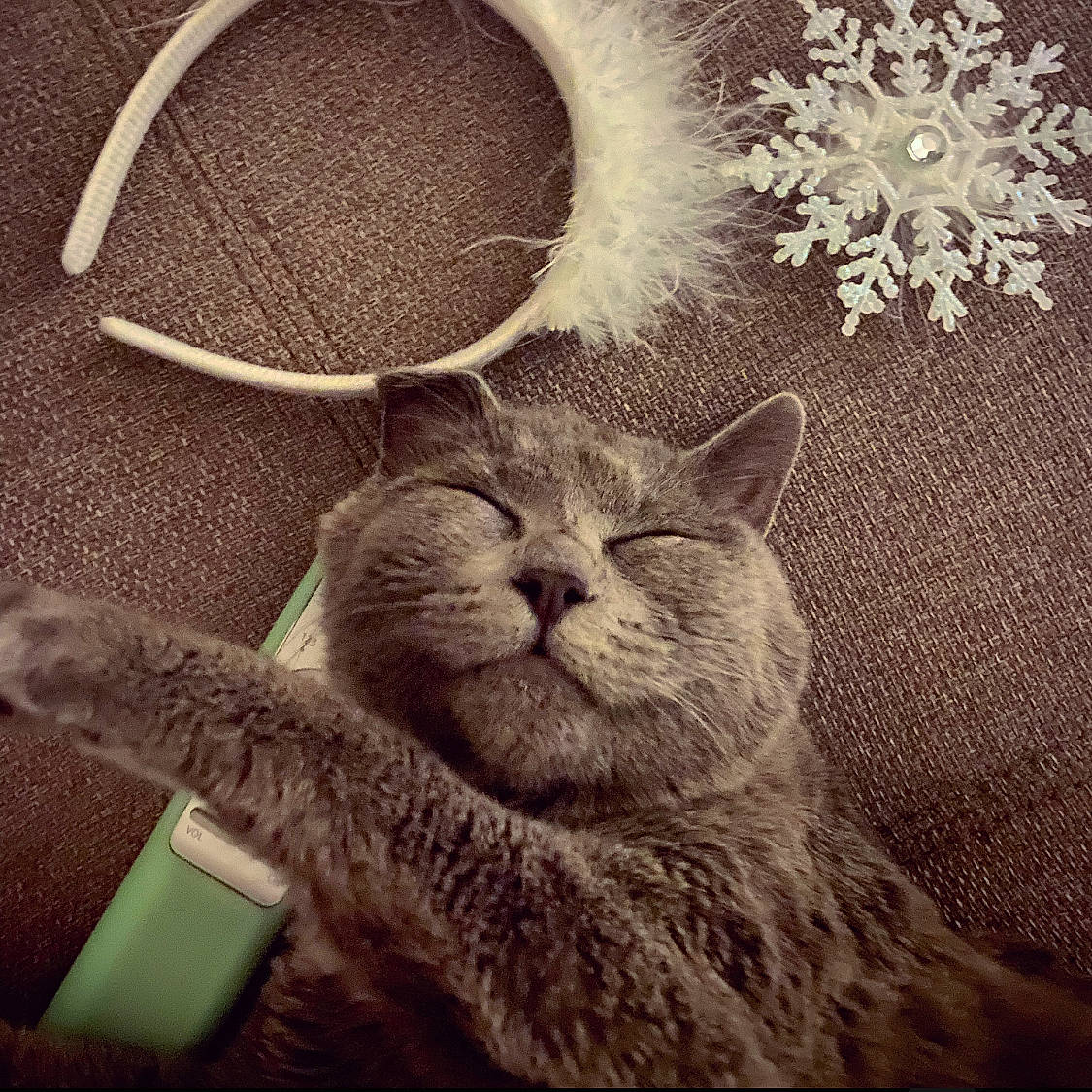 Buzz participe au concours pour gagner de l'argent avec cette photo : art, carnivore, cat, cloud, domestic_short_haired_cat, ear, felidae, font, fur, happy, illustration, meteorological_phenomenon, monochrome_photography, photo_caption, small_to_medium_sized_cats, snout, square, tail, visual_arts, whiskers