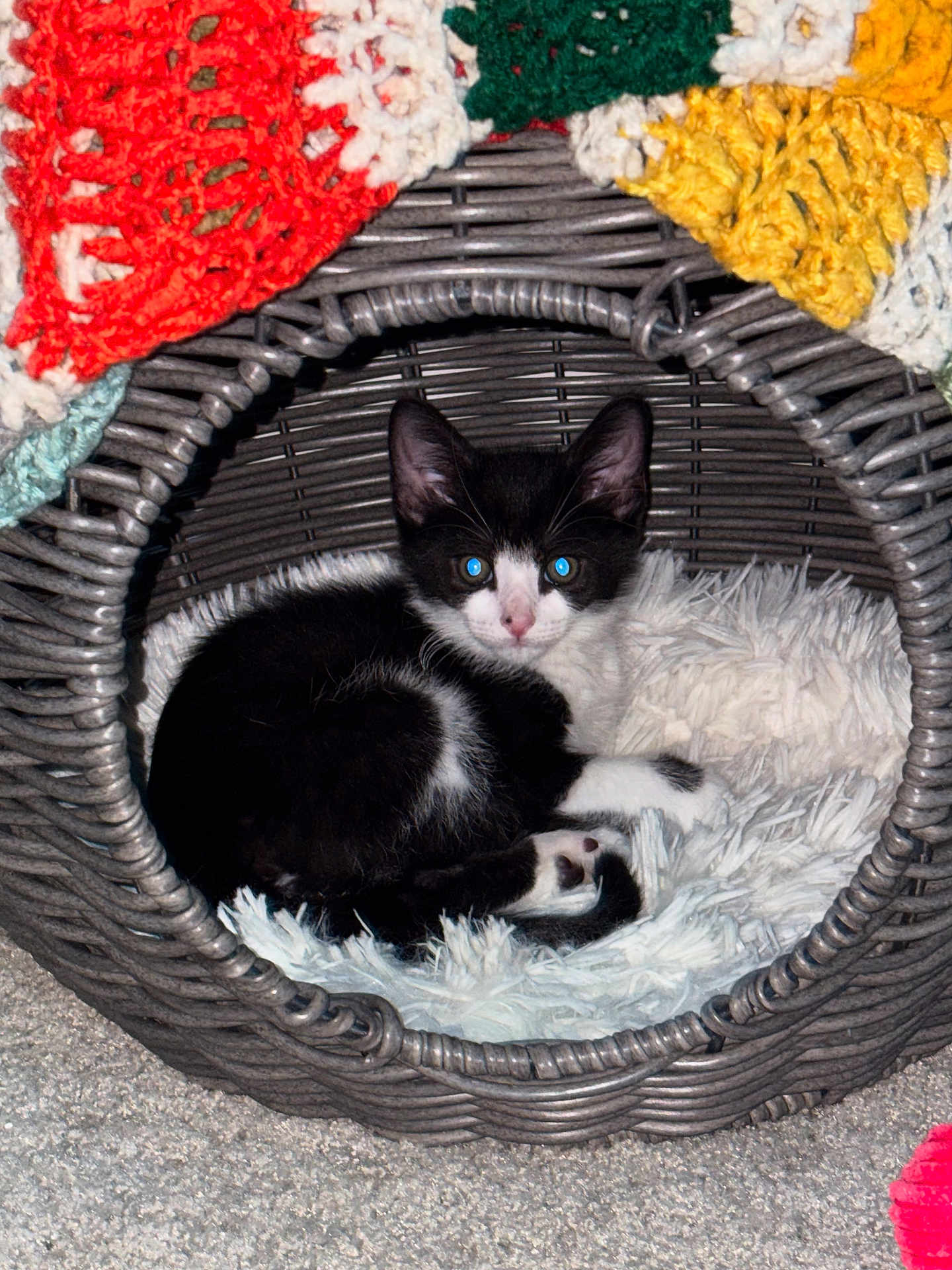 Figaro