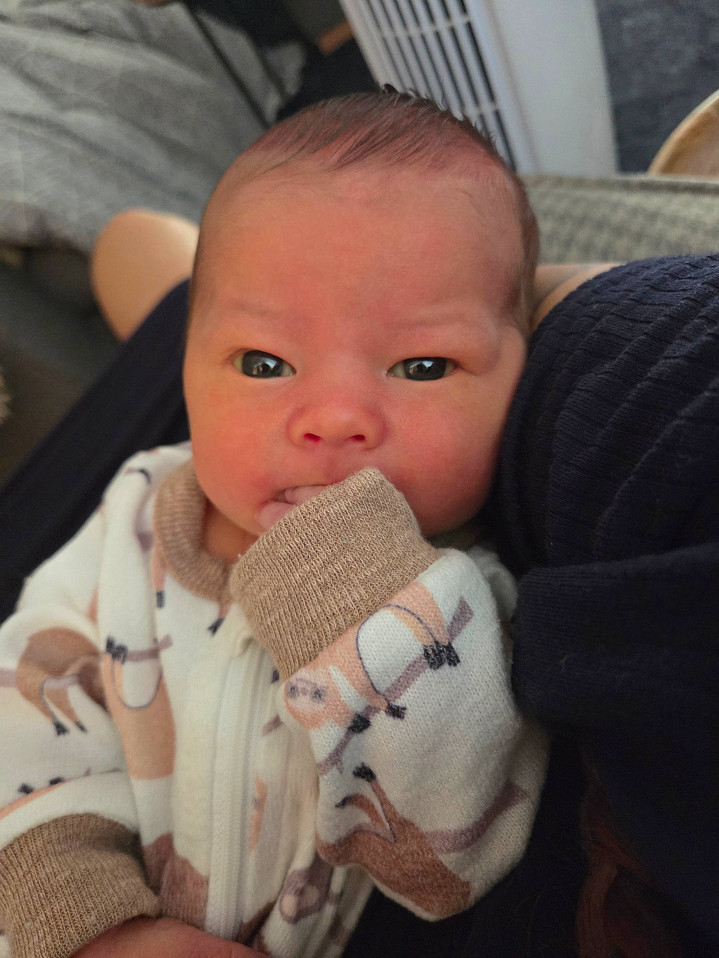 Beau is registered to the contest to win money with this photo: animal_print, baby, child, clothing, cozy, cute, expression, eyes, face, fingers, hand, indoor, infant, newborn, onesie, person, portrait, skin, sucking, warm