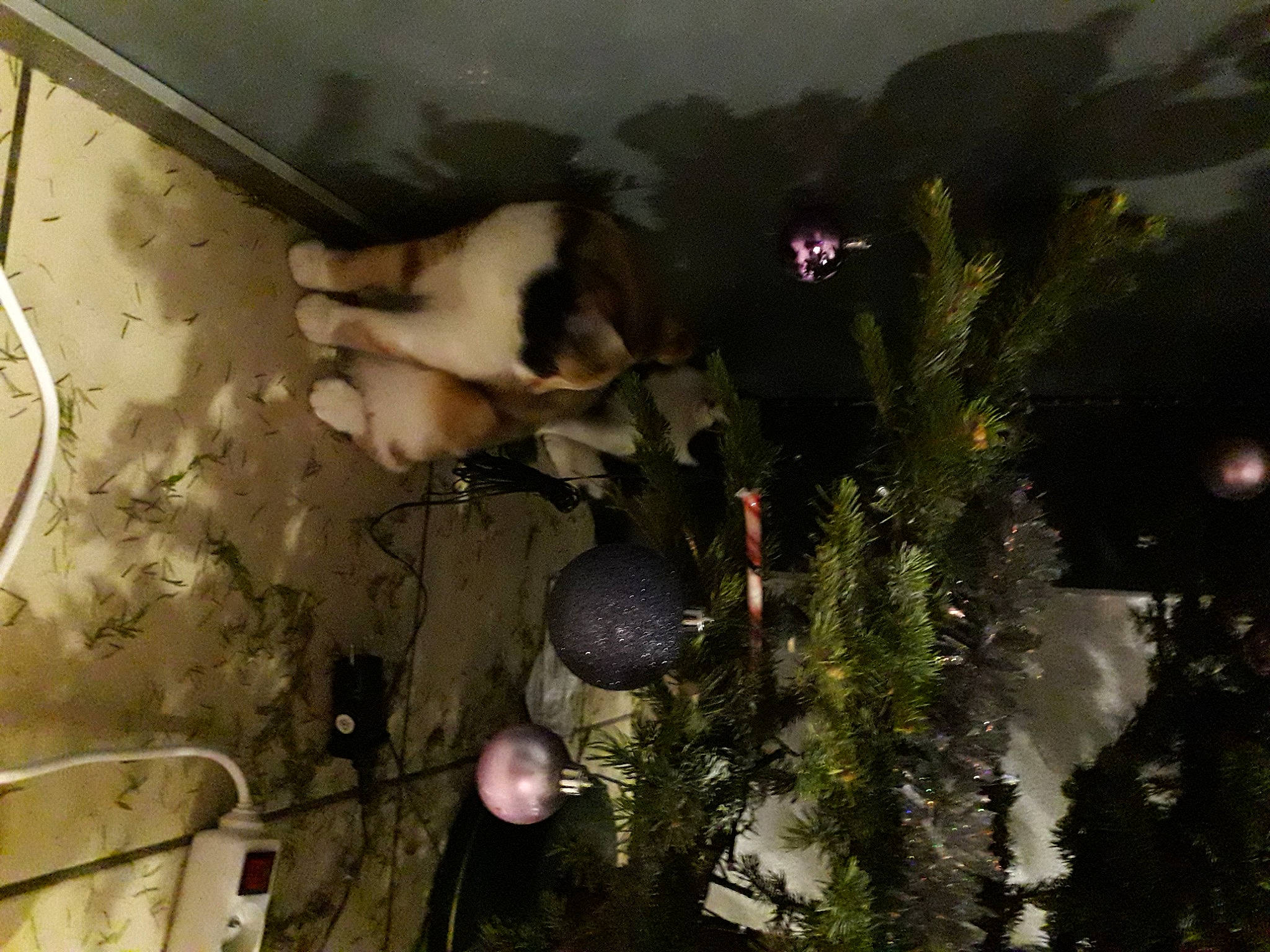 Marge a rejoint le concours — aidez-le/la à gagner de superbes lots ! automotive_exterior, ceiling, cg_artwork, conifer, darkness, event, fir, fun, grass, landscape, reflection, room, shadow, tree, visual_arts, world