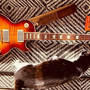Georgia participe au concours pour gagner de l'argent avec cette photo : guitar, electric_guitar, cat, black_and_white_cat, rug, patterned_rug, guitar_strings, string_pack, musical_instrument, instrument_strap, wood, furniture_leg, floor, pet, animal, stretching, indoor, home, relaxing, music
