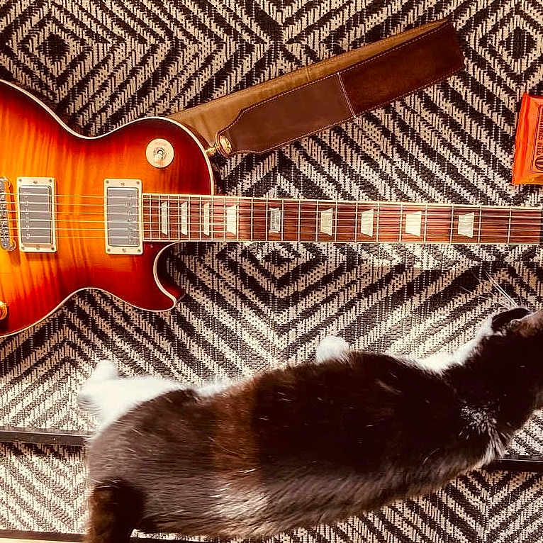 Georgia participe au concours pour gagner de l'argent avec cette photo : animal, black_and_white_cat, cat, electric_guitar, floor, furniture_leg, guitar, guitar_strings, home, indoor, instrument_strap, music, musical_instrument, patterned_rug, pet, relaxing, rug, stretching, string_pack, wood