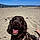 Mylo