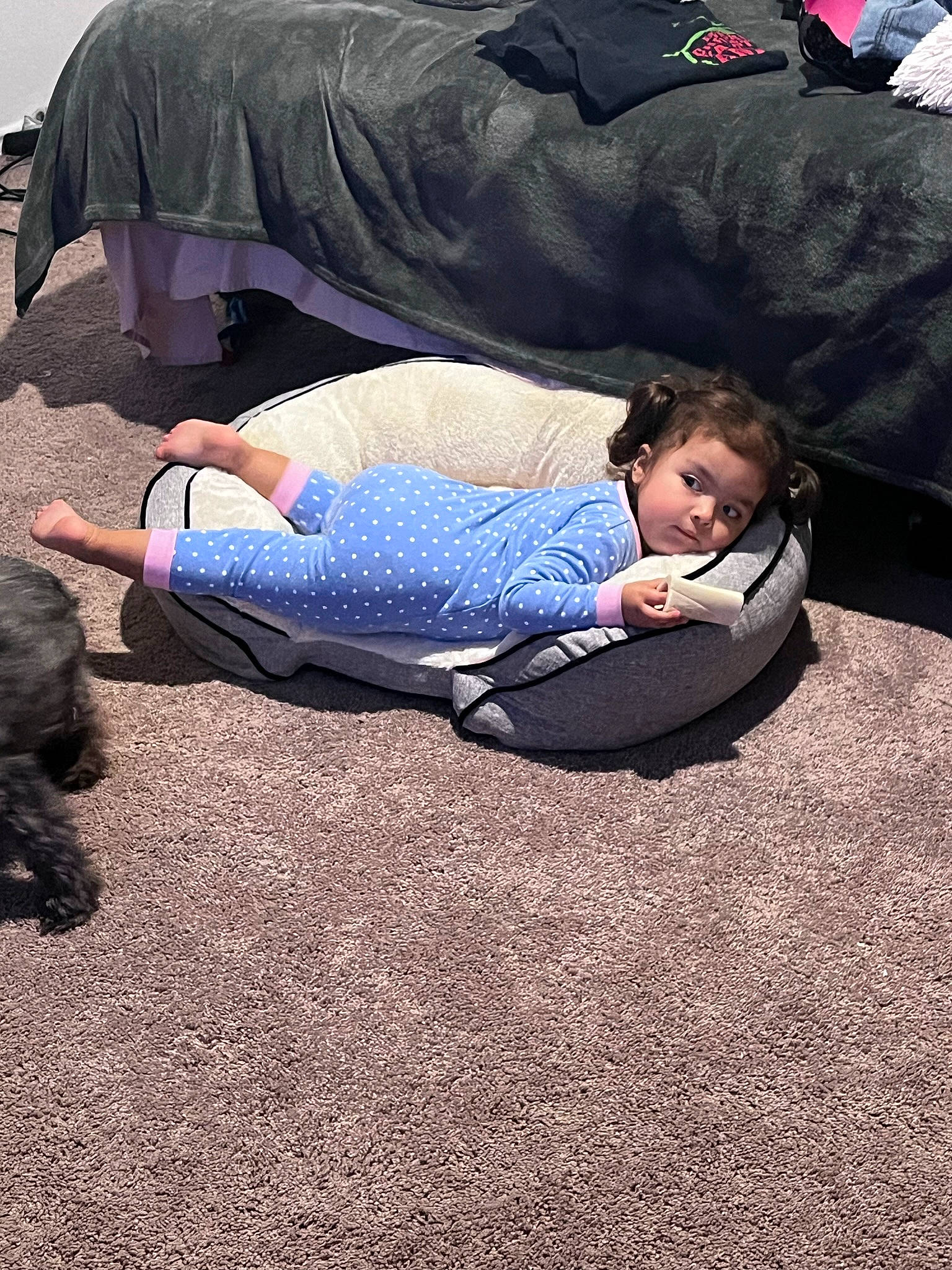 Kehlani is registered to the contest to win money with this photo: asphalt, baby_products, bag, child, city, comfort, fun, grass, human_leg, knee, leisure, luggage_and_bags, nap, person, recreation, sitting, sneakers, soil, toddler, tree