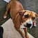 Bessiemae