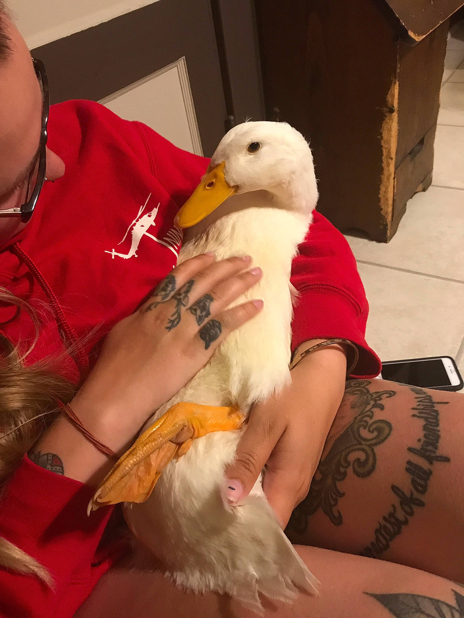 Butters is registered to the contest to win money with this photo: beak, bird, duck, leg, neck, water_bird, wing