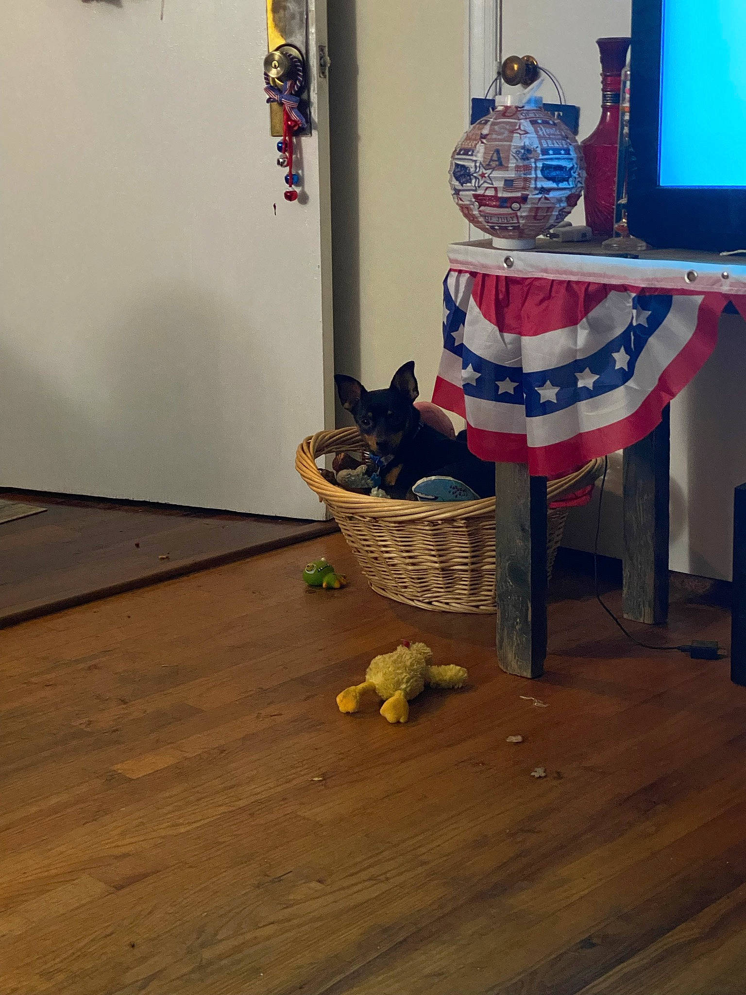 Tripp joined the competition — help win amazing prizes! carnivore, cat, display_device, felidae, floor, flooring, gas, hardwood, laminate_flooring, led_backlit_lcd_display, plank, plywood, room, small_to_medium_sized_cats, tail, television, varnish, wood, wood_flooring, wood_stain