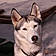 Roxy