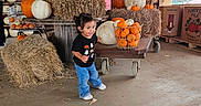 Eliana joined the competition — help win amazing prizes! toddler, child, pumpkins, hay_bales, barn, autumn, fall, orange, white_pumpkins, basket, jeans, black_shirt, smiling, outdoor, rustic, floor, wooden_table, cornstalks, red_wall, casual_clothing