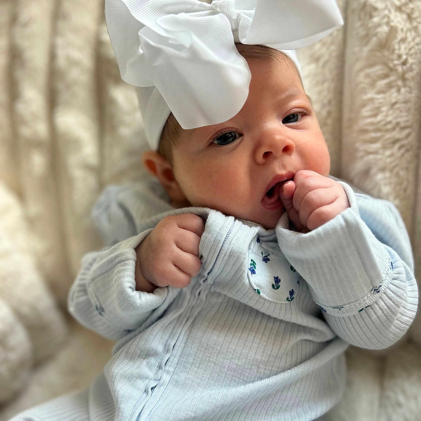 Maggie Mae