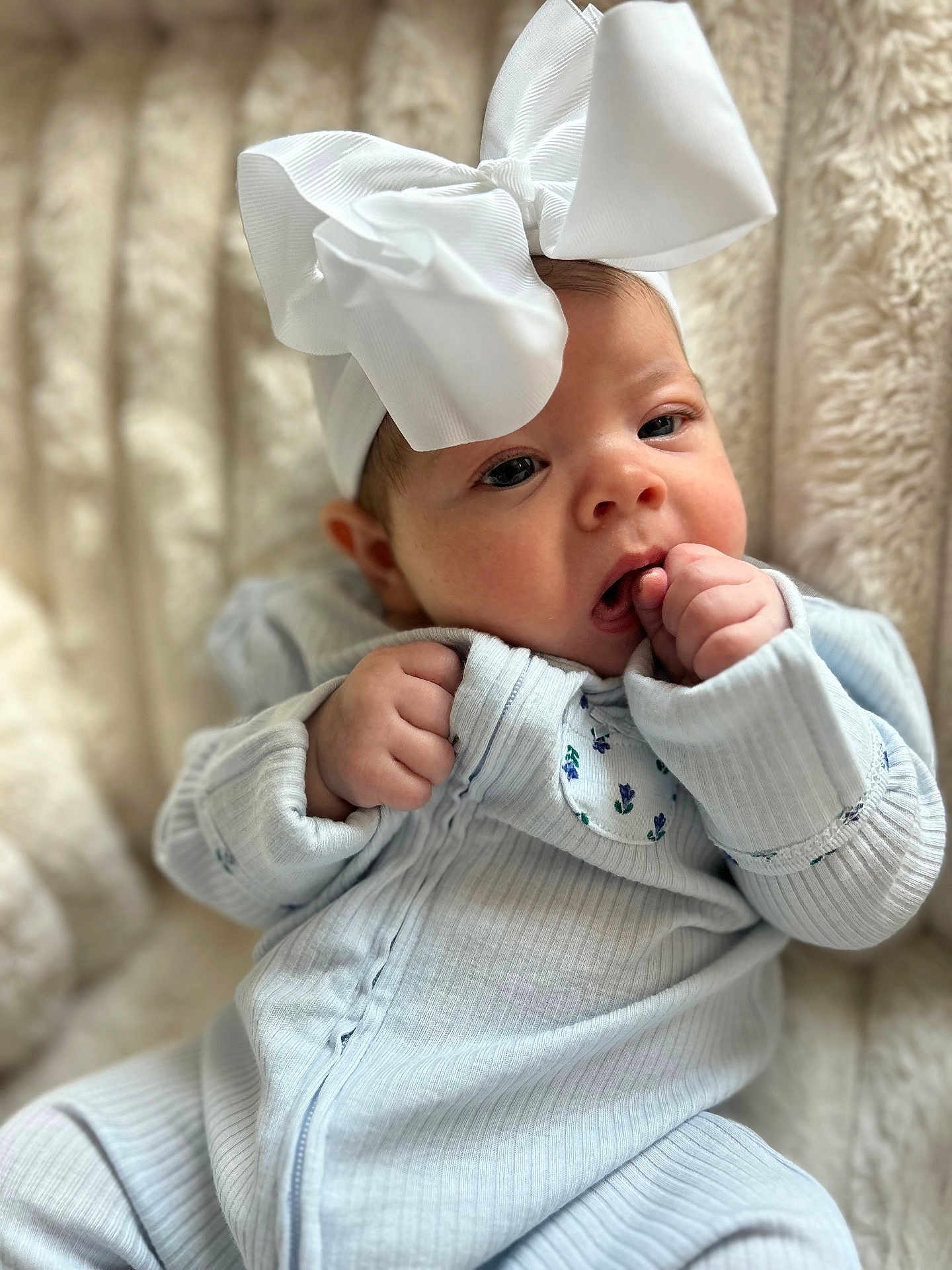 Maggie Mae joined the competition — help win amazing prizes! baby, infant, face, hand, headband, bow, clothing, onesie, sitting, blanket, soft, cute, portrait, skin, expression, indoors, child, newborn, young, comfort
