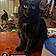 Salem