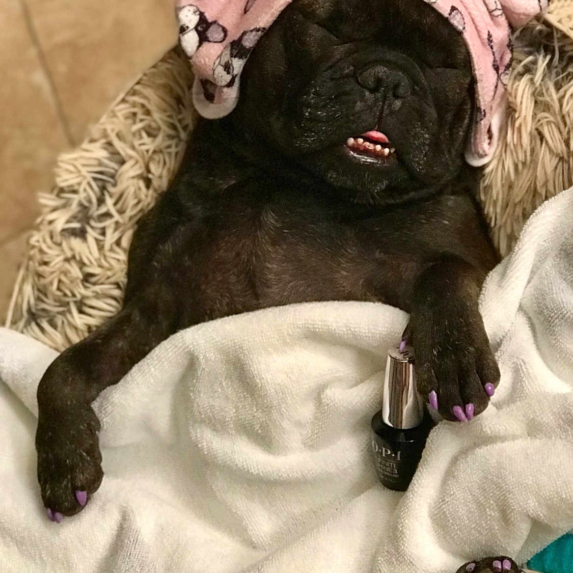 Ellie